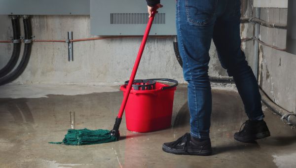 Cost of Flooded Basement Cleanup in Roseville