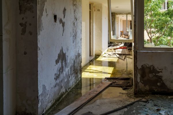 Cost of Water Removal Service in Roseville