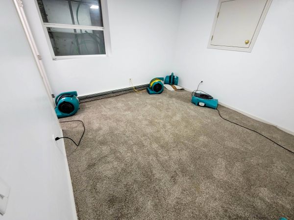 Cost of Flood Restoration Service in Roseville