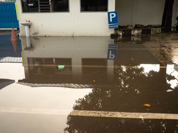 Cost of Storm Damage Repair in Roseville