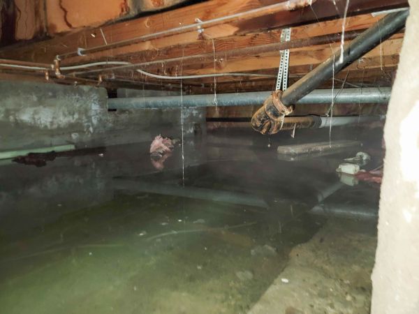 Cost of Crawlspace Water Restoration in Roseville